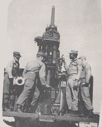 Gun1b.jpg (33449 bytes)