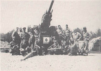 Gun3a.jpg (24385 bytes)