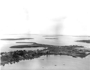 sc599951a.jpg (11603 bytes)